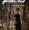 Bedevilled (2010)