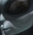 Montauk Chronicles (2015)
