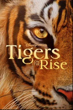 Tigers On The Rise (2024)